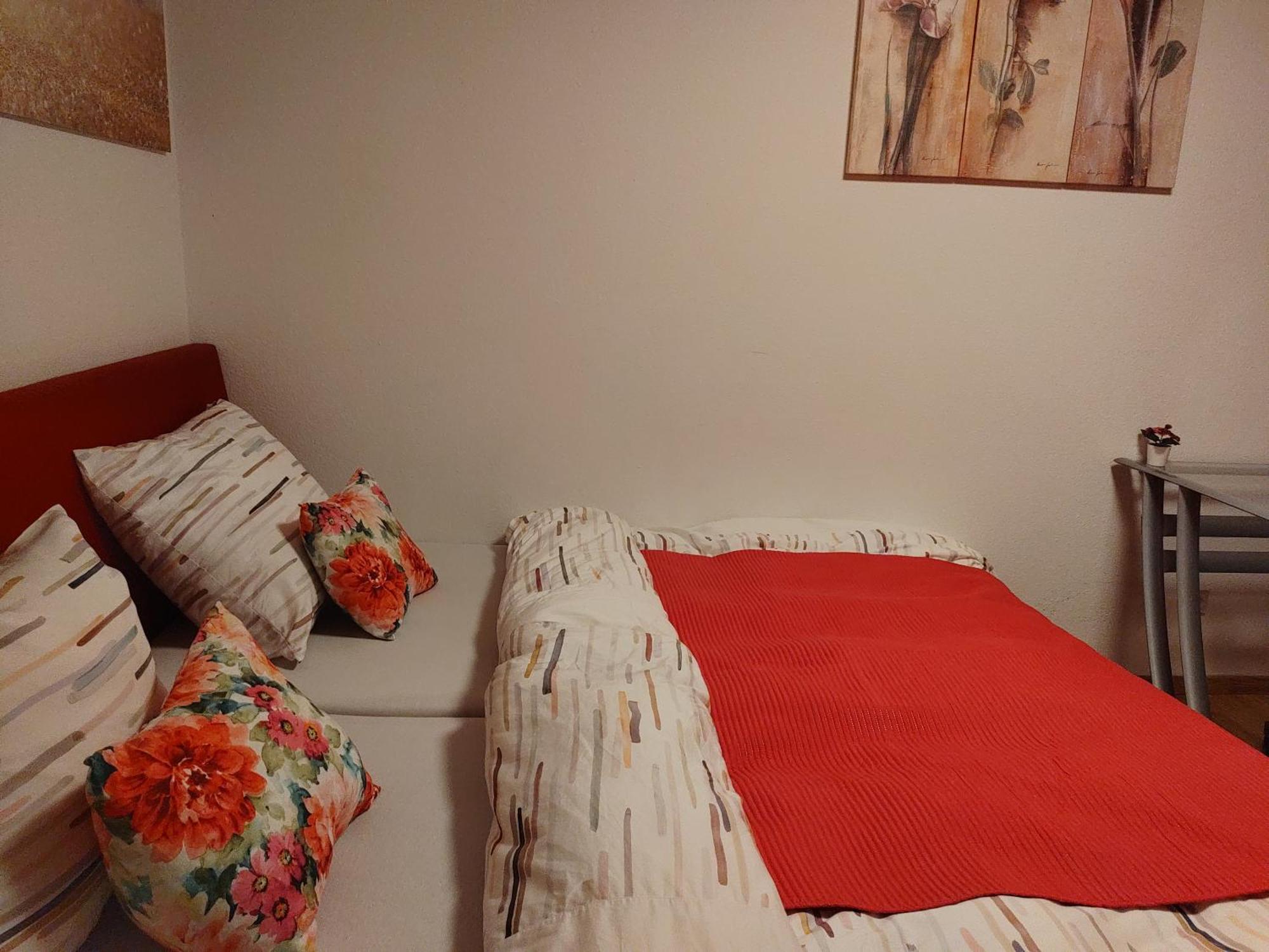 Appartement T3 Proche De Bale 생루이 외부 사진