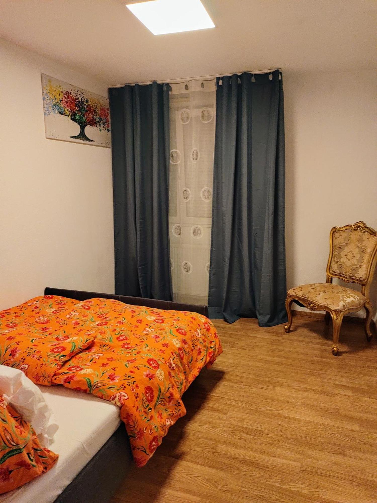 Appartement T3 Proche De Bale 생루이 외부 사진